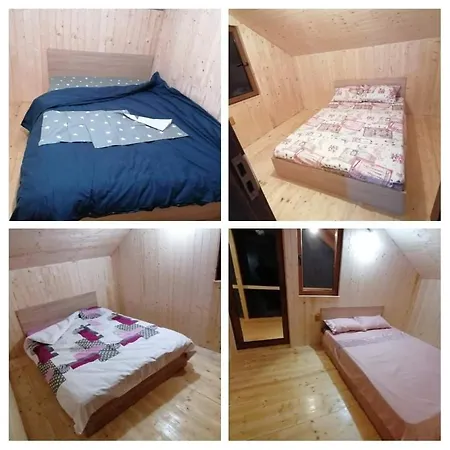 Cabana Muntele Rece *